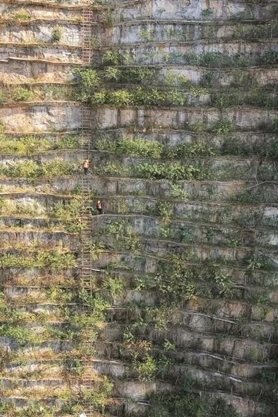 Z6��������ʱ(�й�)-�ٷ���վ