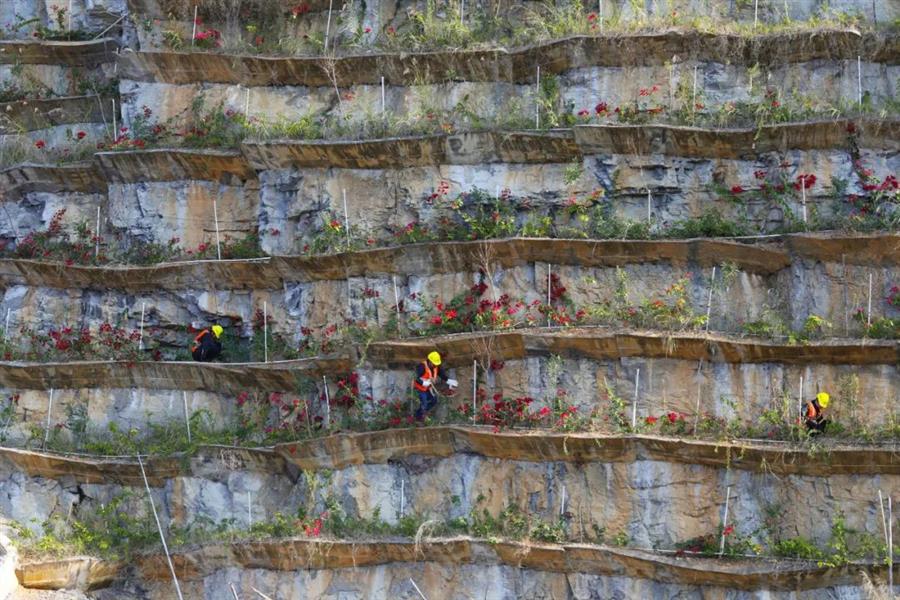 Z6��������ʱ(�й�)-�ٷ���վ