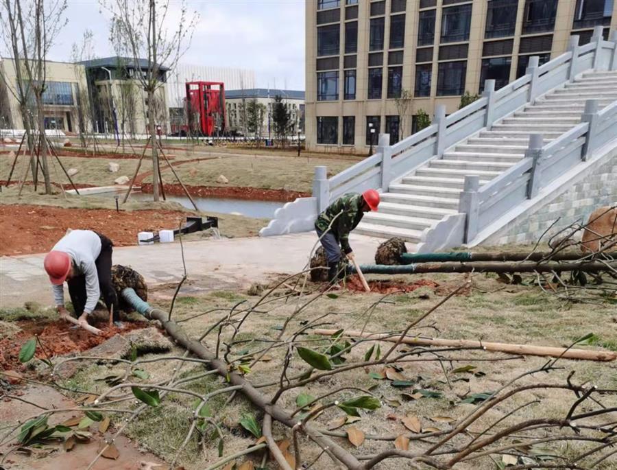 Z6��������ʱ(�й�)-�ٷ���վ