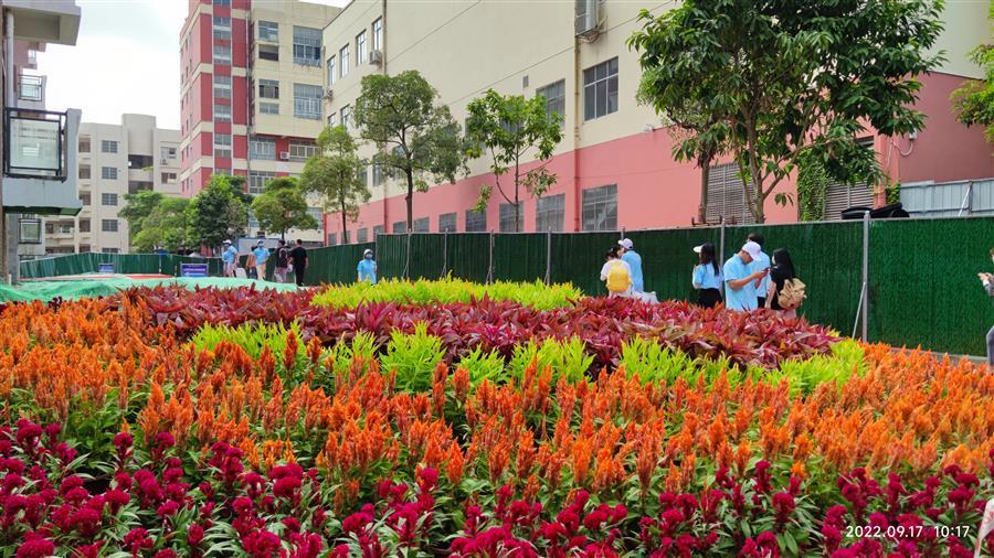 Z6��������ʱ(�й�)-�ٷ���վ