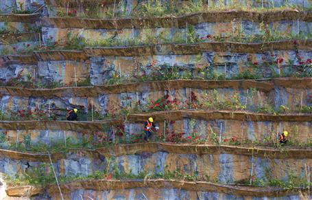 ��̬�޸���Ч�� ¥��ɽ������ױ