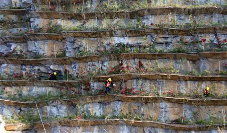 ұ����˾��Ŀ�ĳ���