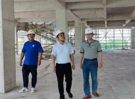 ���������ֹ�˾��Ŀ��չ�������Ⱥ͡�˫�ڡ�ǰ��ȫ���������ۺϴ���